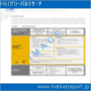 市場と産業調査レポートのイメージ